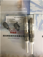 TE110/TE118温度传感器